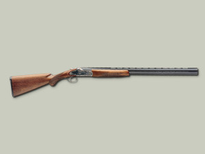 cz_woodcock